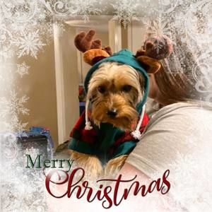 Meet your Posher, Kenna